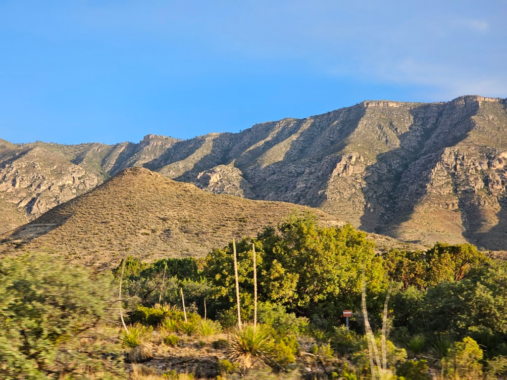 Guadalupe Mountains in the background behind desert shrubs