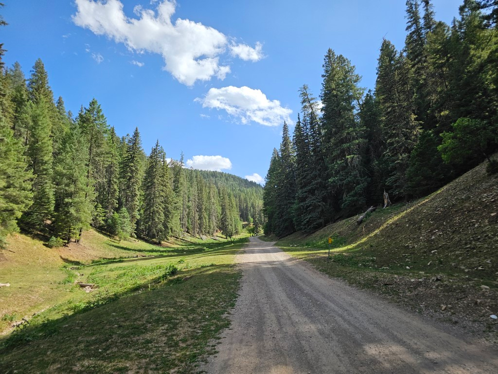 A dirt road headed into the distance with trees on both sides in Lincoln National Rorest